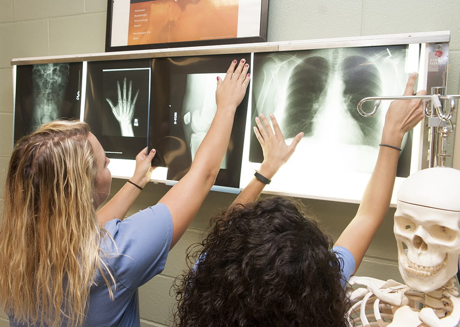 students looking at x-ray 