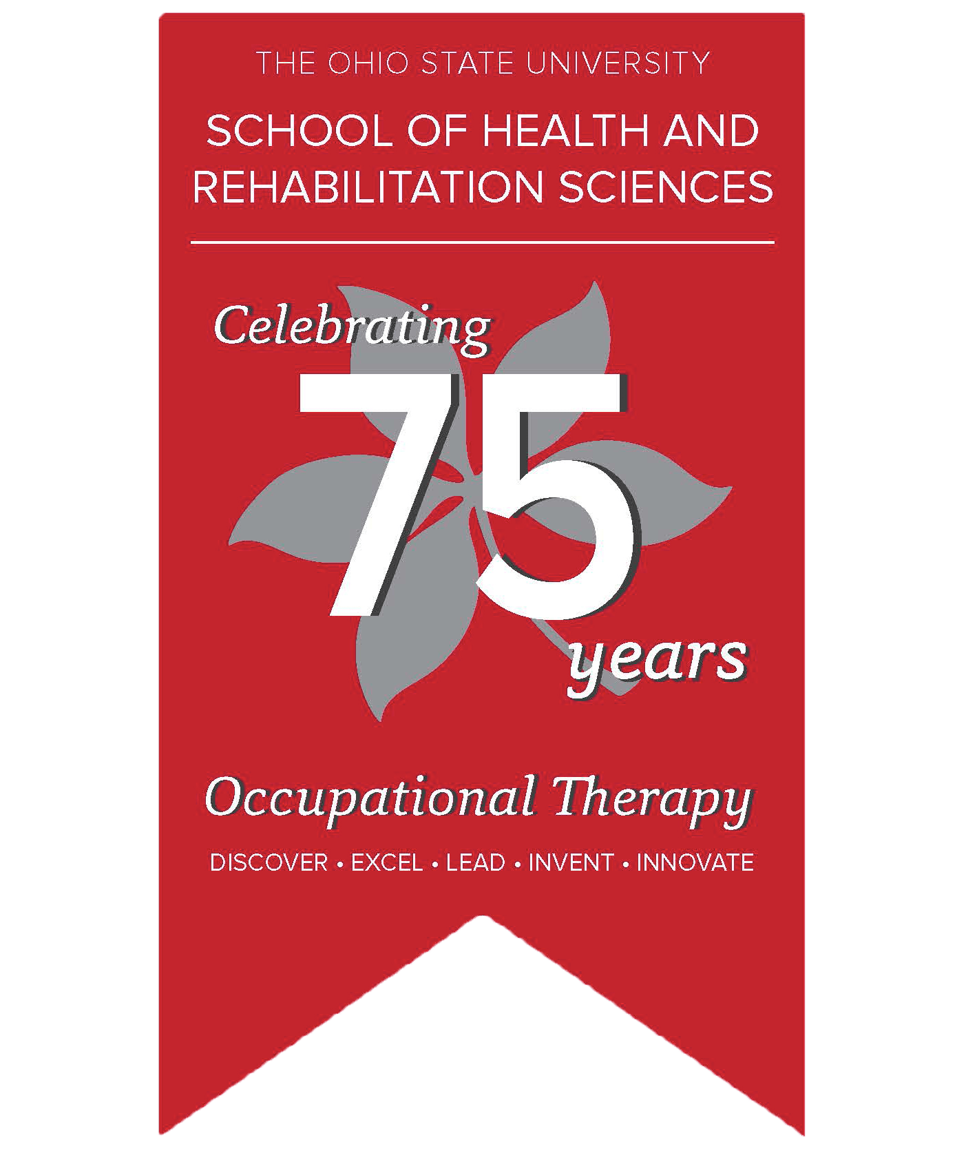 Graduate programs in occupational therapy