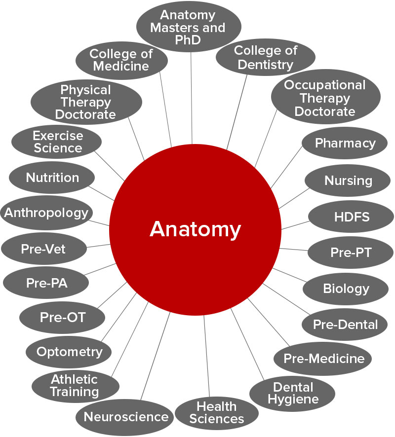 Outreach and High School Learning Opportunities | Ohio State College of