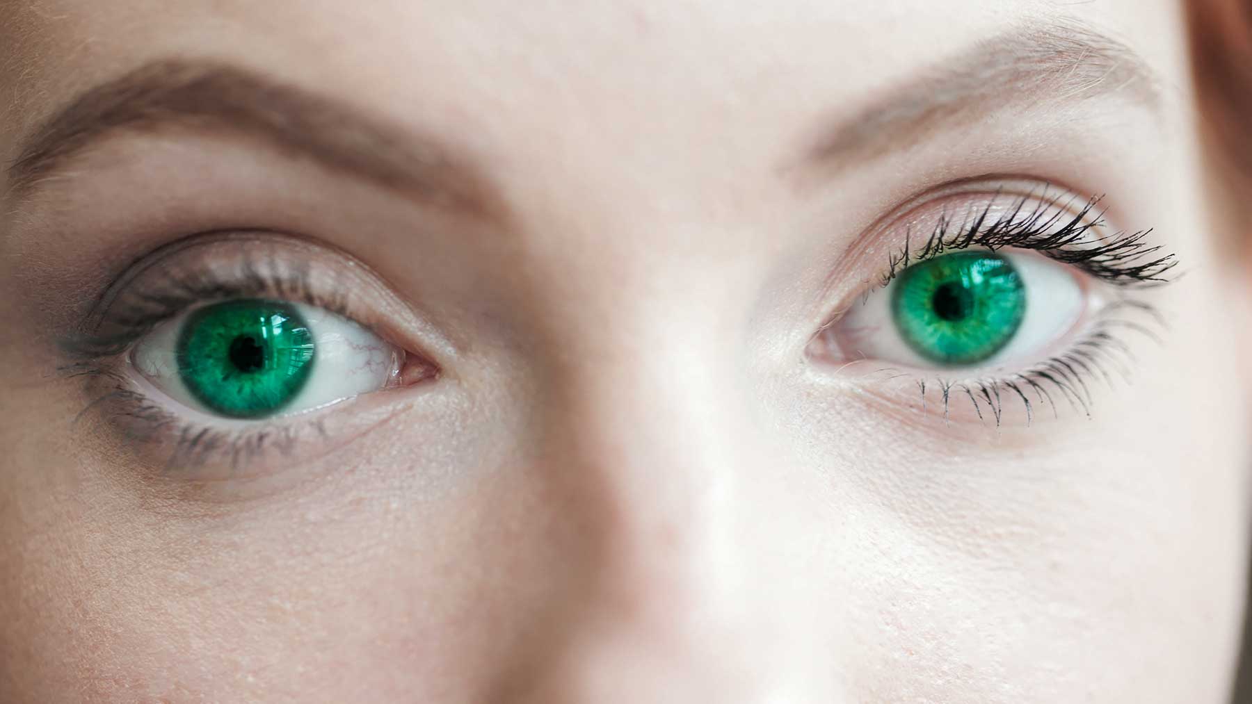 colored halloween contacts photo