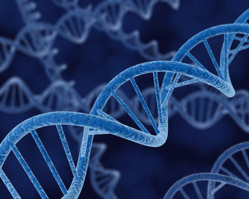 DNA-Strand