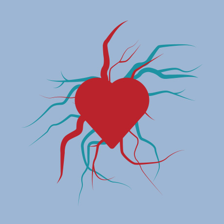 Integrated vascular center heart arteries veins icon