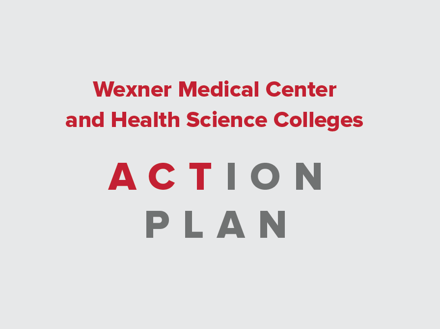 Action Plan