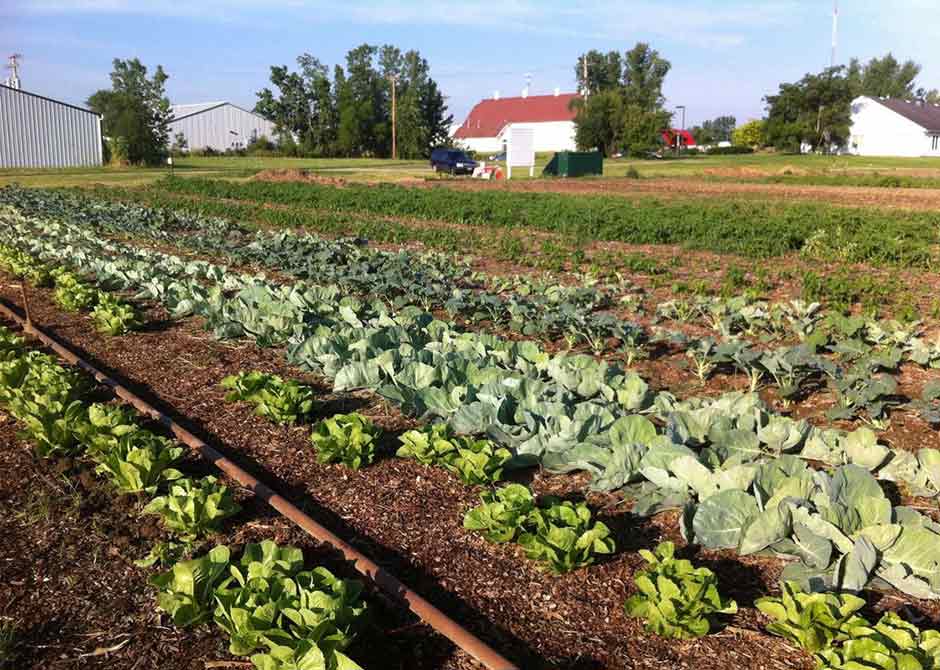 Garden-of-Hope-JamesCare-for-Life