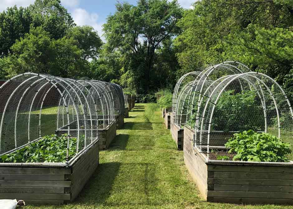 Growing-Wellness