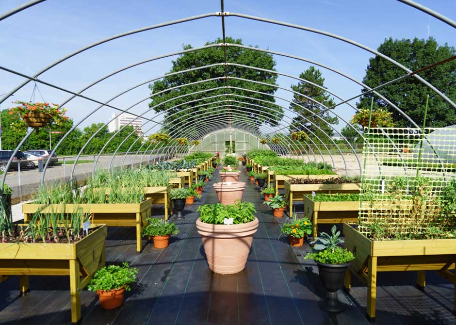 Ross Community Gardens flip