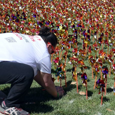 23 Pinwheels Creatively Remember Organ Donors